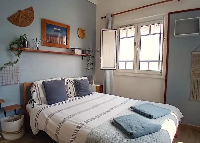 Ethic Surf House 3* 费雷尔